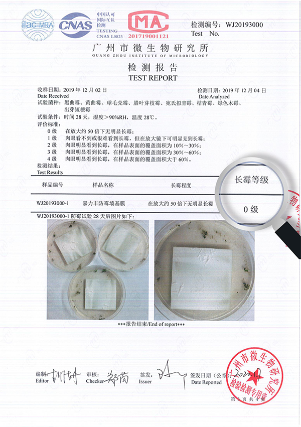 防霉基膜.png