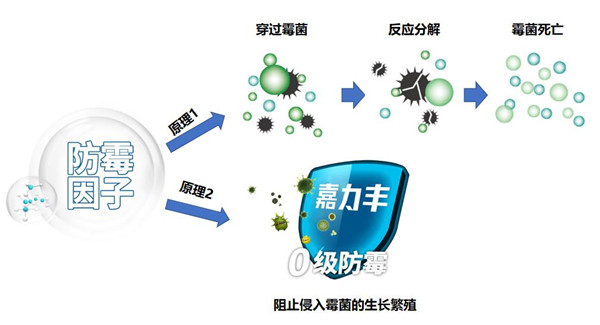 15 防霉因子防霉原理.jpg